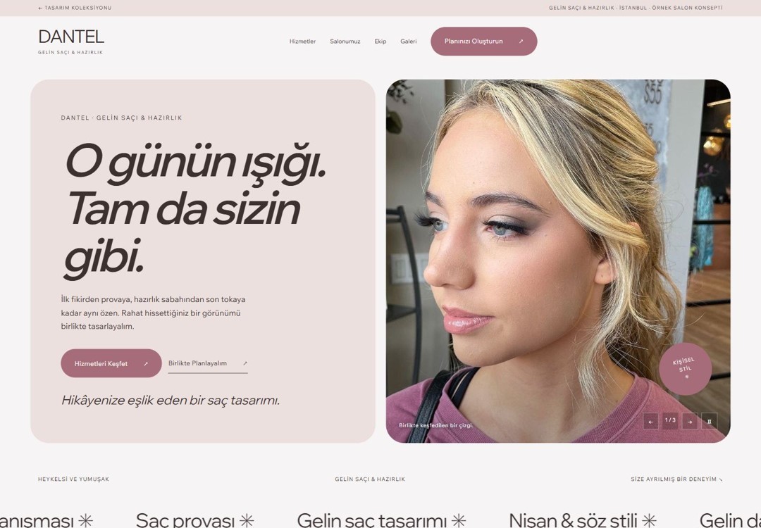 DANTEL web sitesi konseptinin önizlemesi